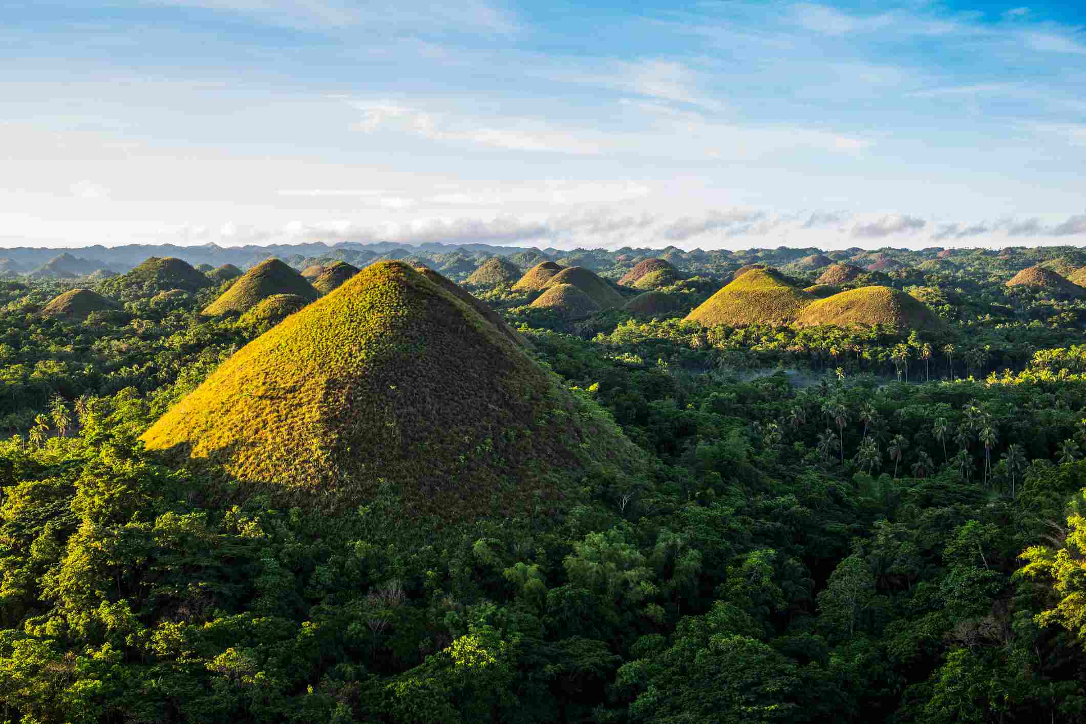 Đảo Bohol