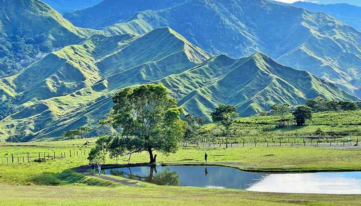 Bukidnon