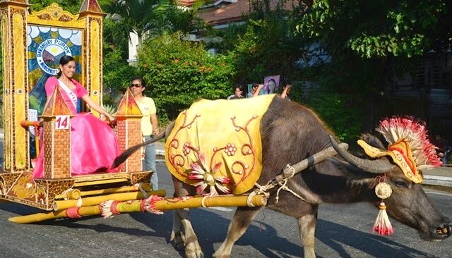 Carabao Carroza