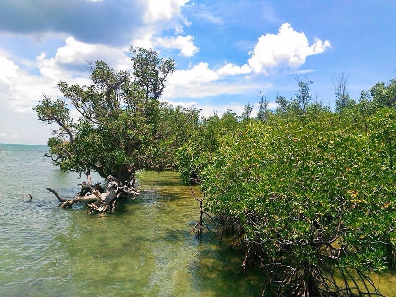 Khu bảo tồn Biển Sagay