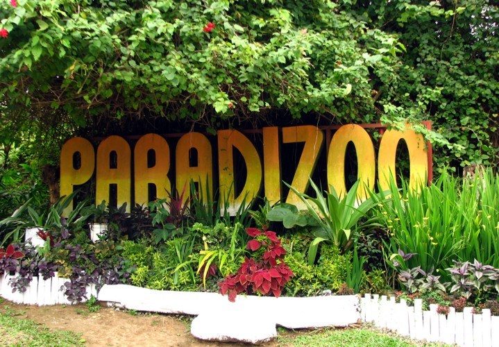 Paradizoo